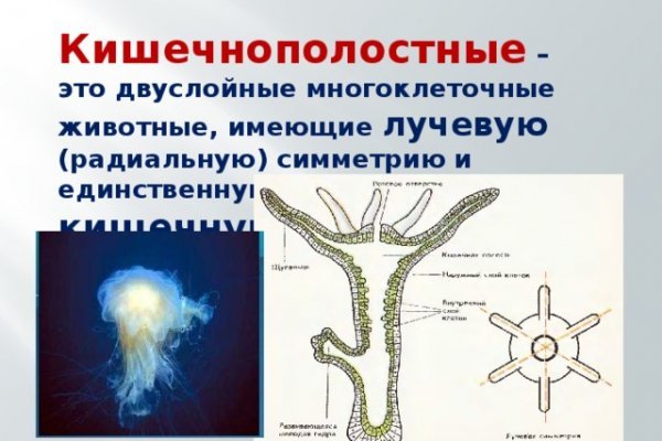 Где купить наркоту