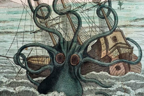 Tor browser kraken