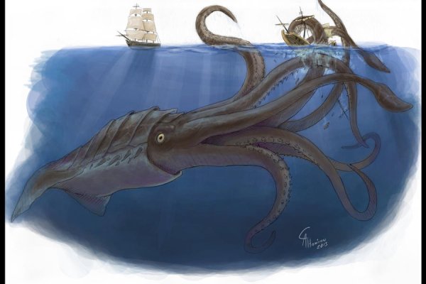 Kraken рабочее зеркало на сегодня